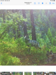 0D7A65BE-DF2C-4D86-B43A-C5C07E2A5481.png
