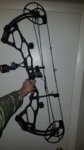 Bow .jpg