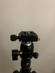 IMG_5090.jpeg