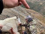 Goat shot.jpg