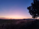 20190818_210731.jpg