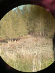 IMG_3485.jpeg