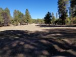 20191006_093153.jpg
