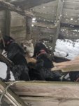 IMG_20200124_150637.jpg