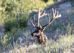 Rocky Mt. a-1371.JPG