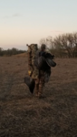 2E219836-8184-4590-9793-E6445130F4D0.png