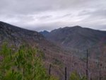 IMG_20200315_094930760_HDR.jpg