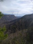 IMG_20200313_170200990.jpg
