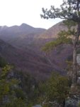 IMG_20200313_184814233.jpg