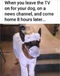 93349566-CEC3-49A6-97E6-EB5971EA19EE.jpeg