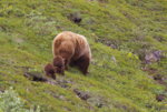Alaska0058.JPG