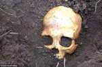 Skull.jpg