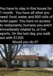 FB_IMG_1585833450088.jpg