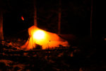 82F546C0-0761-4E5B-ADA3-578AAB49CE51.jpeg