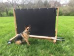Backstop.jpg Backstop.jpg