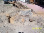 100_4222.JPG