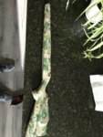 639364ED-643A-4532-AACB-BC63962FA1CE.jpeg