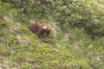 Alaska0077.JPG