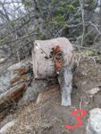IMG_20200412_084404~2.jpg