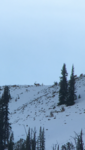 5806C78A-77A4-4702-84F1-34DCFEB01429.png
