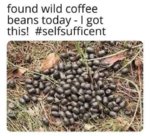 980E5D6D-0BC7-4AF9-A97E-D83BE34DF660.jpeg