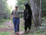 springbear019Small.jpg