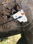 Broadhead.jpg