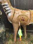B2C23939-DACB-46C3-8624-B44B9BA56E45.jpeg