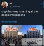 Depressed Bird Memes - Home | Facebook