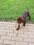 20170730_193702.jpg