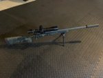HCA 300wsm.jpg