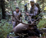Paul II 2013 Bull Color08.jpg Paul II 2013 Bull Color08.jpg