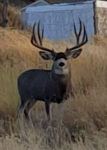 20161221_144911.png
