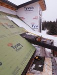 20200401_120226.jpg