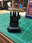 rear sight.jpg