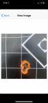 CED26D10-C8DD-449E-A553-AD022A7288DF.png CED26D10-C8DD-449E-A553-AD022A7288DF.png