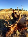 Elk 1.jpg