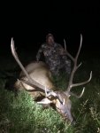 2015 Idaho Archery Elk.jpg
