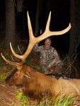 2015 bull elk 036.jpg