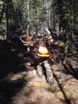 moose hunt5.jpg