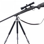 sentinel.jpg sentinel.jpg