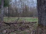 20200508_055514.jpg