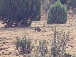 1120160950_HDR.jpg