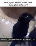 A68580AE-2E43-45C4-82E0-EE06B984F003.jpeg