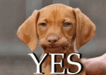 giphy (1).gif giphy (1).gif