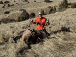 Big Elk.jpg
