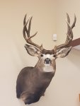 2008 CO Muley Mount.jpg