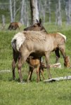 Alaska20155.JPG