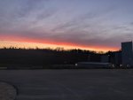 1C185901-7337-492B-BE0A-20AE21A8B764.jpeg