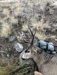 IMG_2174.jpeg